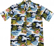 hawaii, båt cruser,shipp,plane, hibiscus